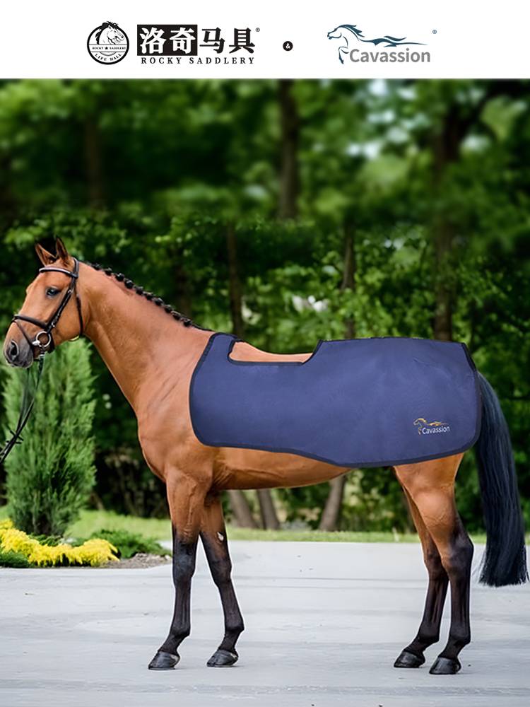 Cavassion Sports Training Horse Horses Horse Carpet Riding Margion Rock Horse 8216057
