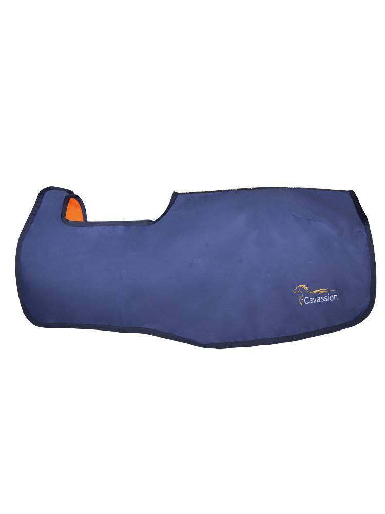 Cavassion Sports Training Horse Horses Horse Carpet Riding Margion Rock Horse 8216057