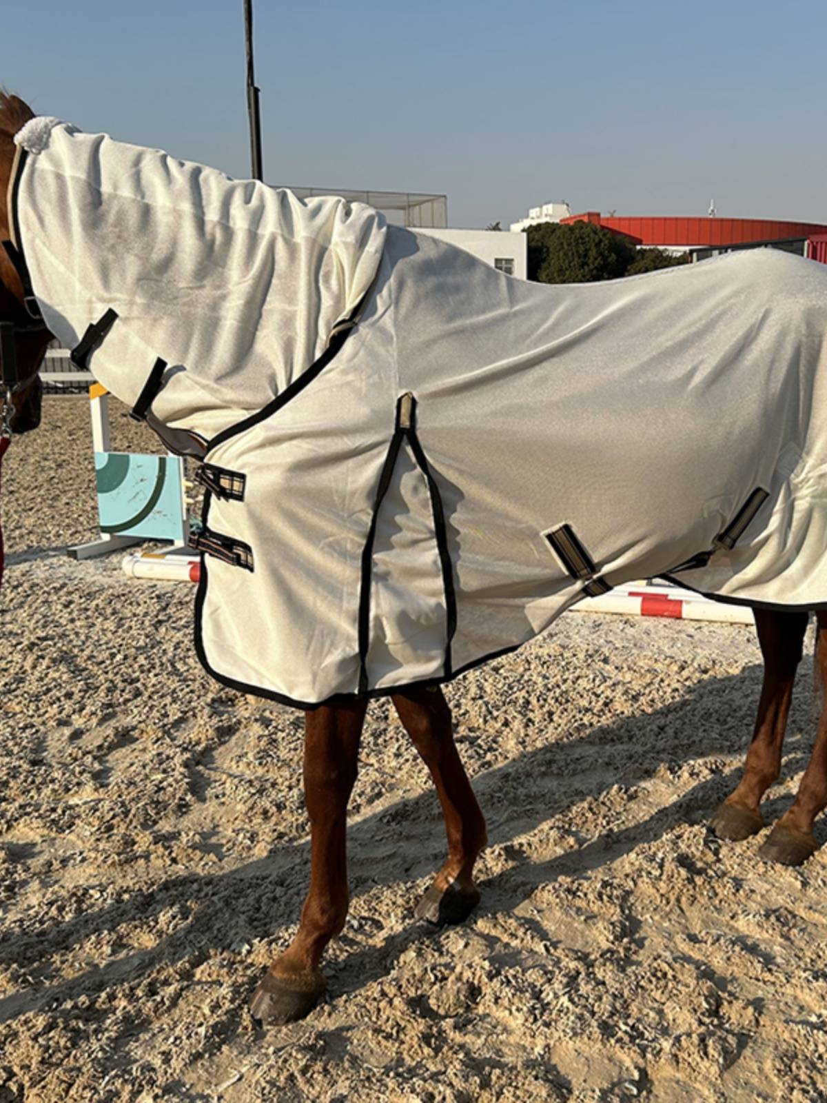 EPONA net cloth horse clothes with a fence in summer, mosquito anti -breathable, comfortable horses, equestrian sports horse products