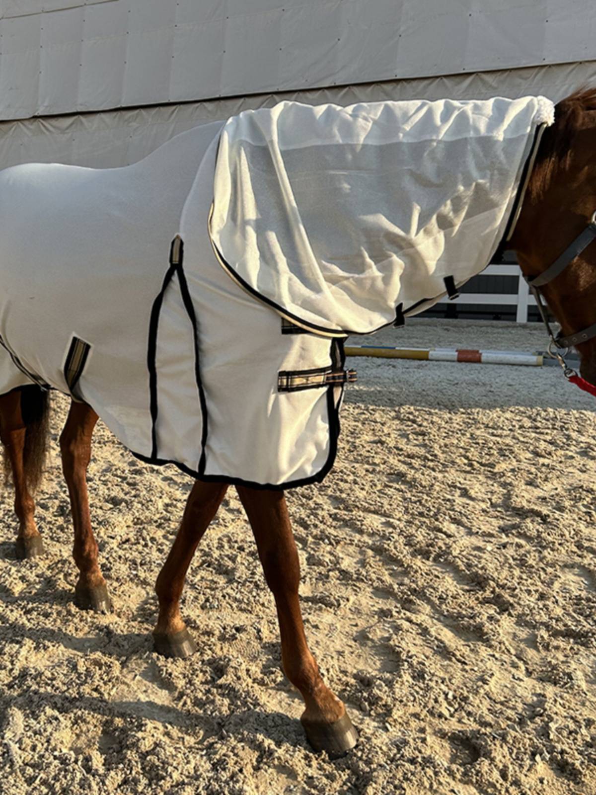 EPONA net cloth horse clothes with a fence in summer, mosquito anti -breathable, comfortable horses, equestrian sports horse products