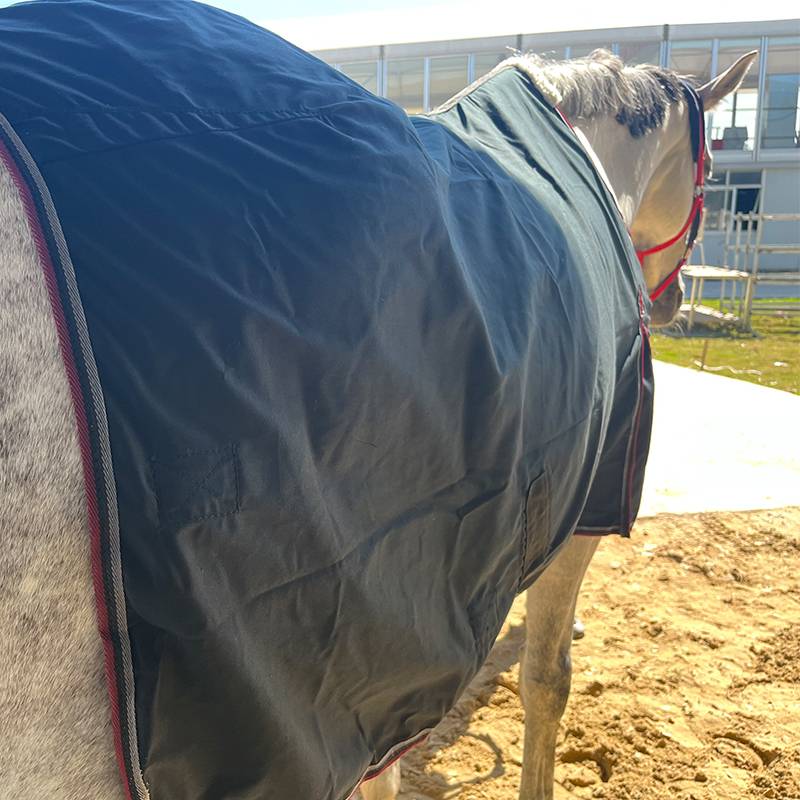 EPONA single -layer horses spring and autumn warm and comfortable equestrian sports horse house supplies