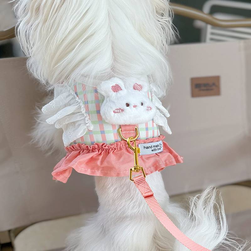 Marzis Yorkshire dog tow ropes with clothes and dog-covered pet-dog stuff walking the dog