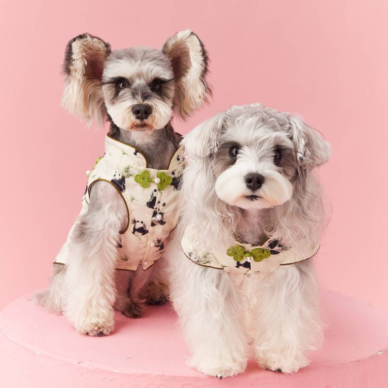 Puppy clothes spring and summer sleeveless vest Suronerbi Bear Malzis cat panda cheongsam dress