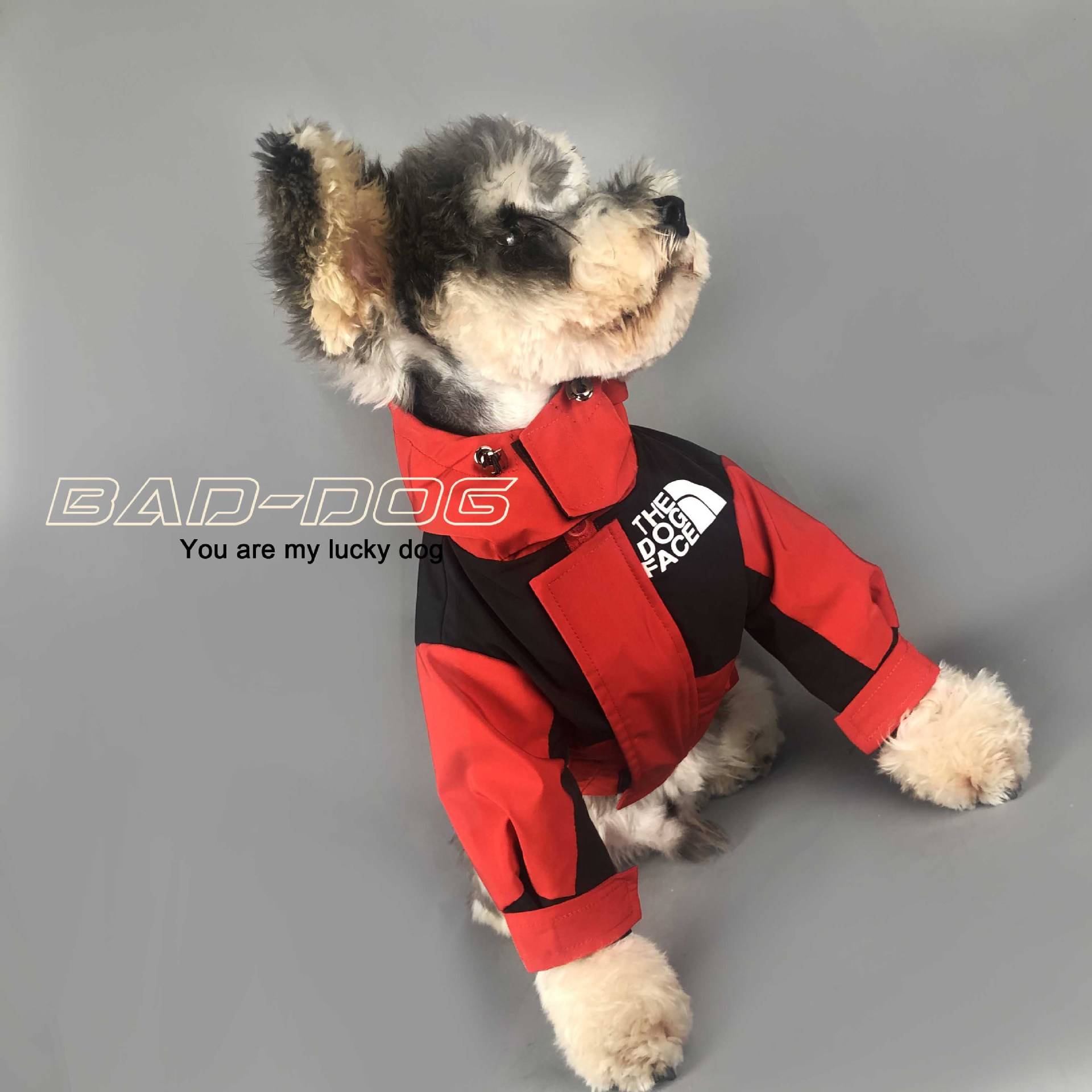 Autumn and winter dogs and dogs, down jackets, pets, pets, Sherry Teddy Malzis Bomebi Belle Shiba Inu cat