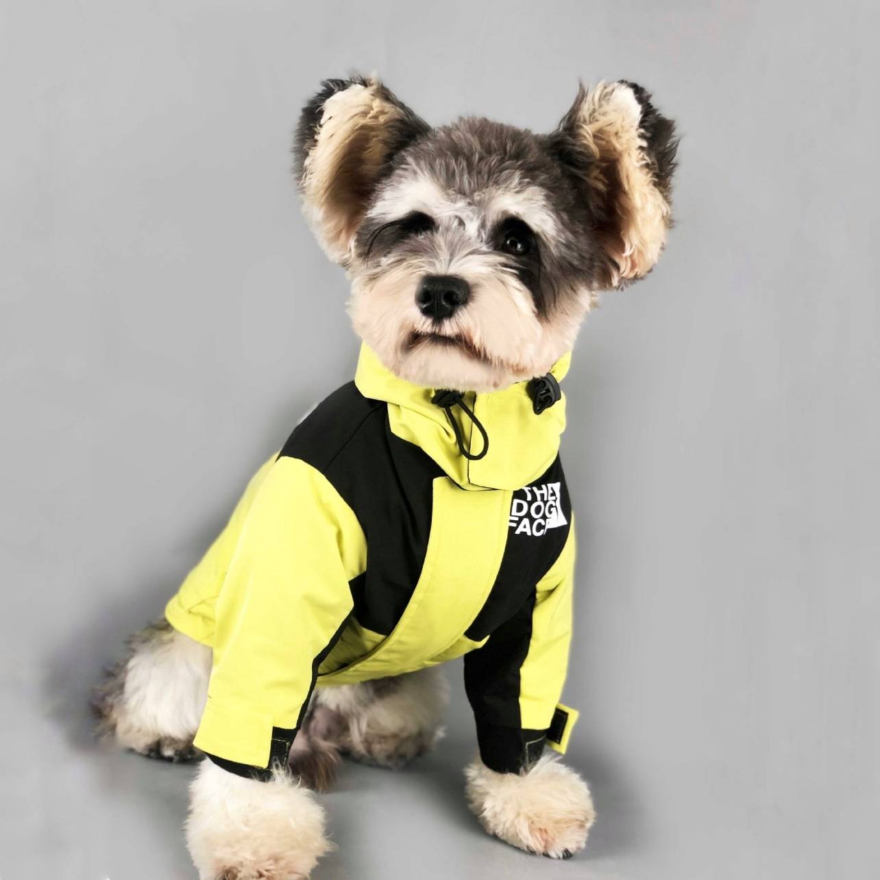 Autumn and winter dogs and dogs, down jackets, pets, pets, Sherry Teddy Malzis Bomebi Belle Shiba Inu cat