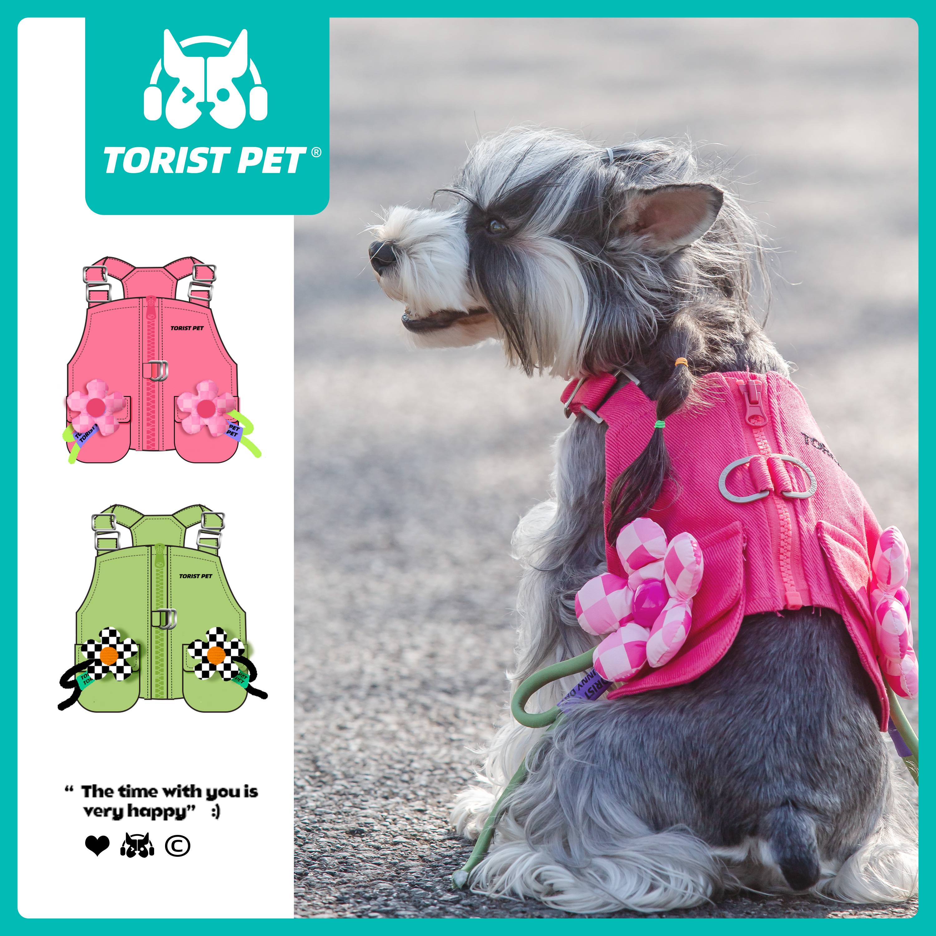 TORIST PET Dog clothes Spring and Autumn Pet Pets Bear Celery Sherry Teddy Malzus