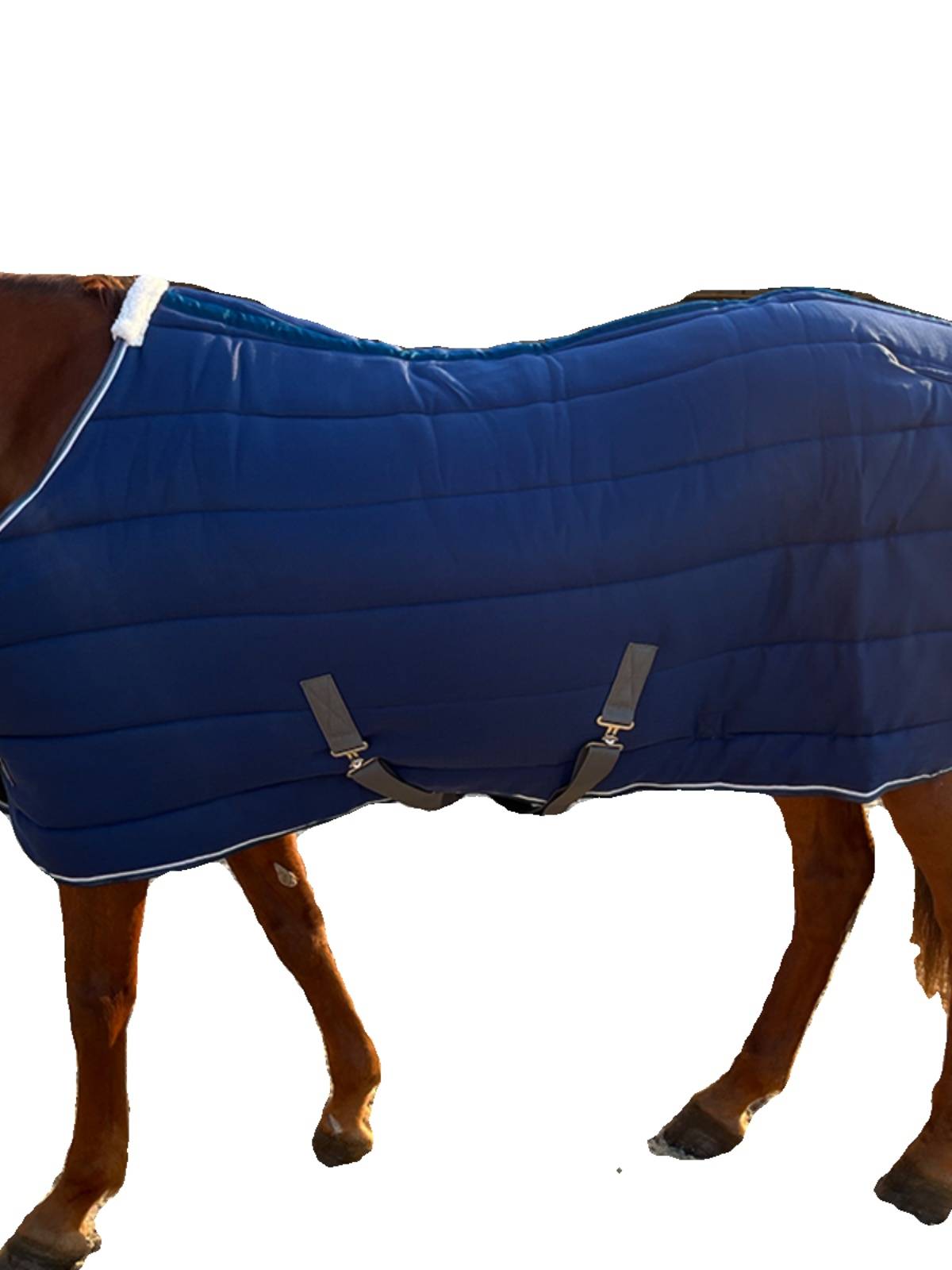 EPONA cotton horseman 300g indoor winter cold resistance, warmth, comfortable equivalent equestrian supplies horses products