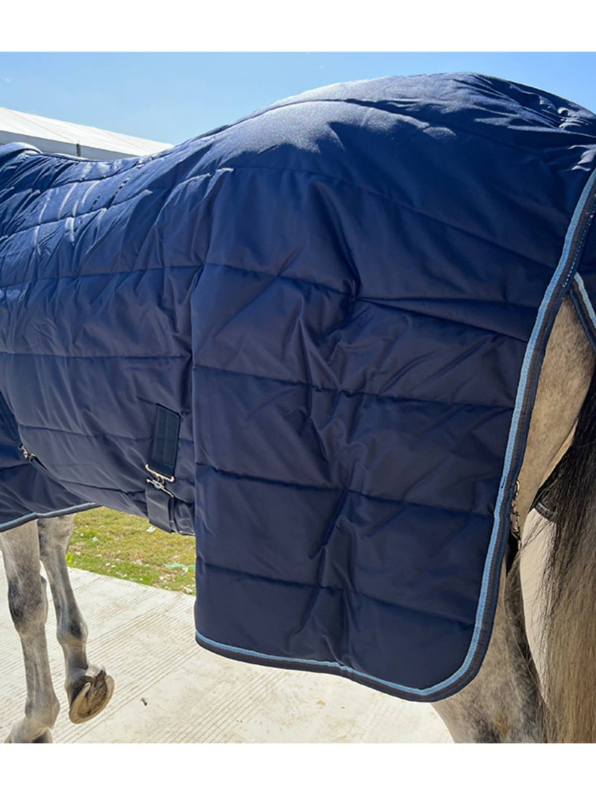 EPONA Winter Horse 400g indoor cotton horsepower, cold and warmth, comfortable horse supplies equestrian sports