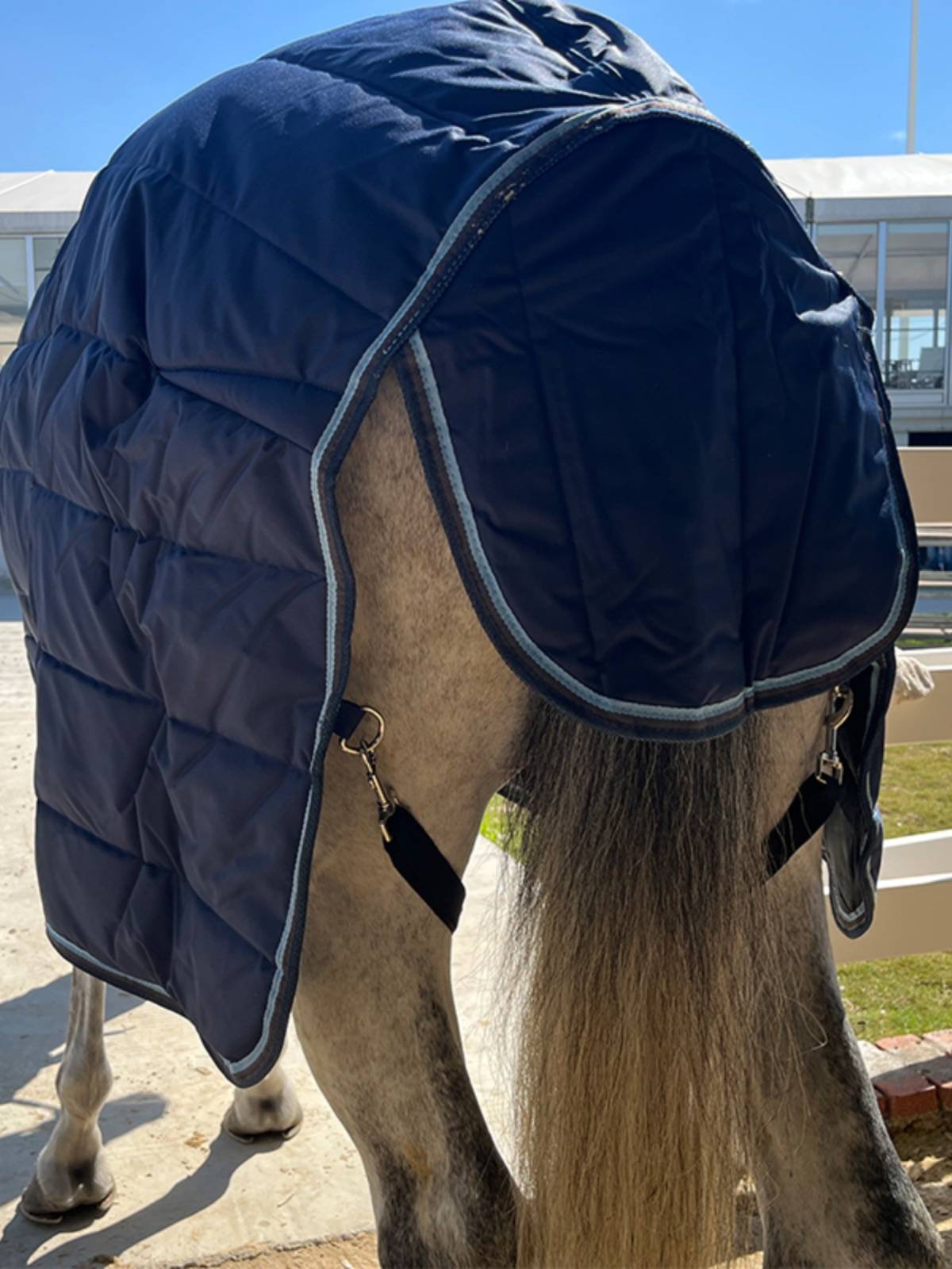 EPONA Winter Horse 400g indoor cotton horsepower, cold and warmth, comfortable horse supplies equestrian sports