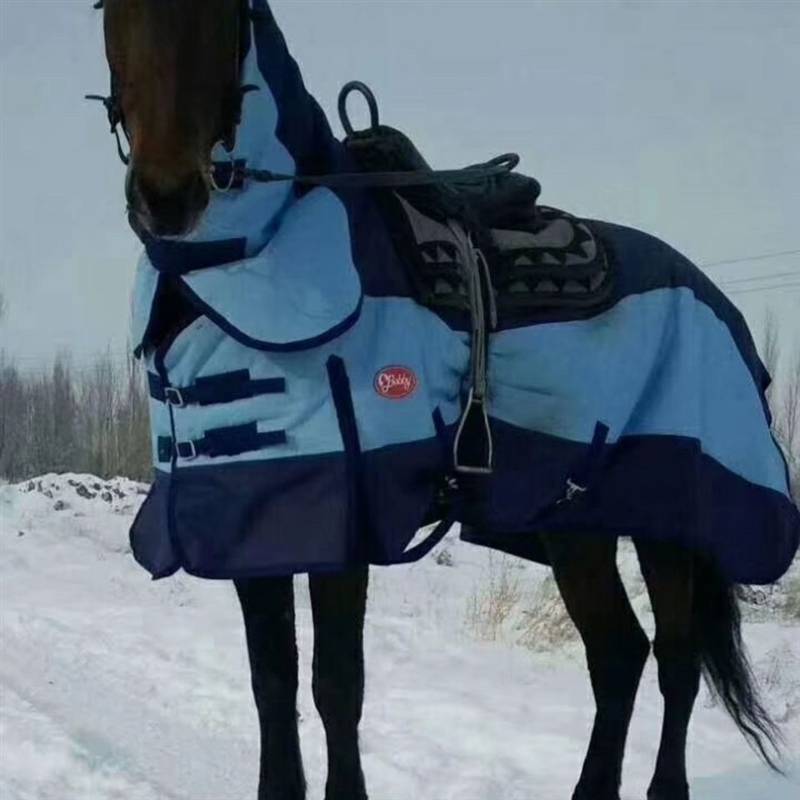 Winter horses, have your horses wear clothes, add cotton to keep warm and cold and horses a new model