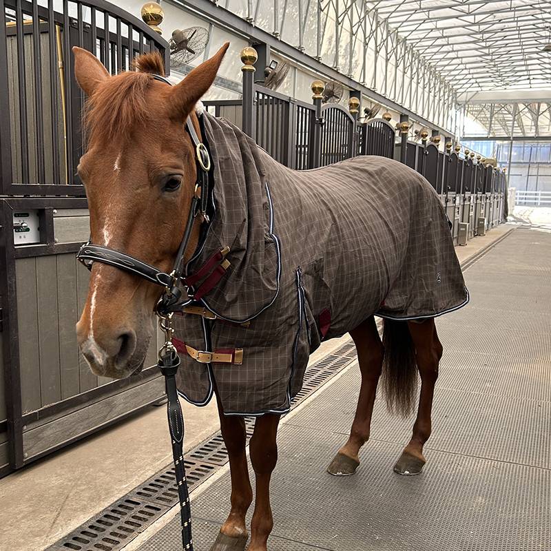 EPONA single -layer horses chamber with fence and neck breathable and comfortable horse uses clothes spring and summer horses horses products