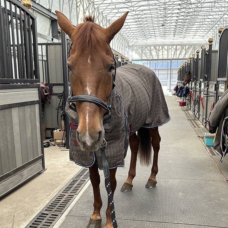 EPONA single -layer horses chamber with fence and neck breathable and comfortable horse uses clothes spring and summer horses horses products