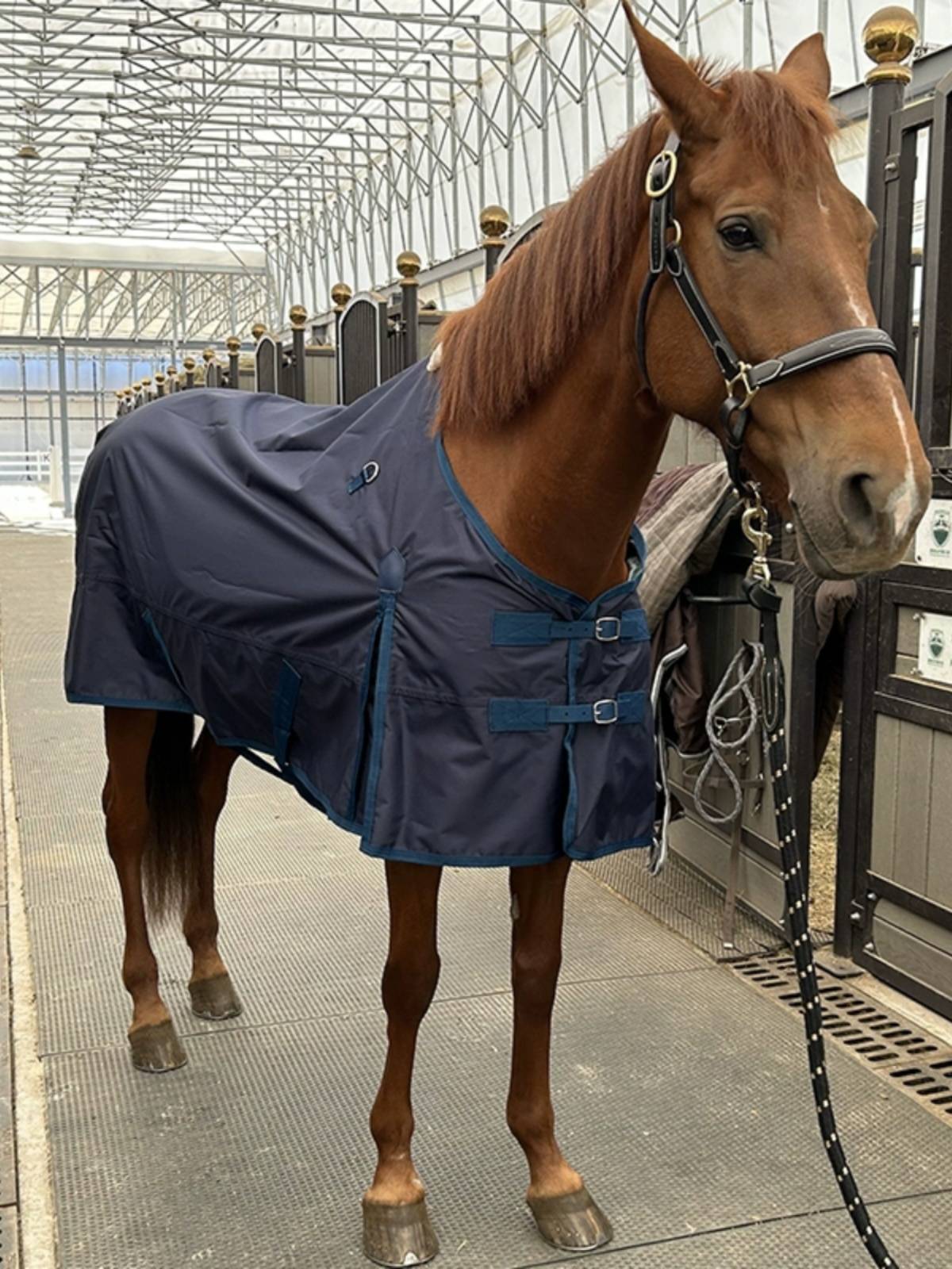 EPONA single -layer waterproof horsepower breathable and comfortable horse uses clothes spring and summer horses horses puppets