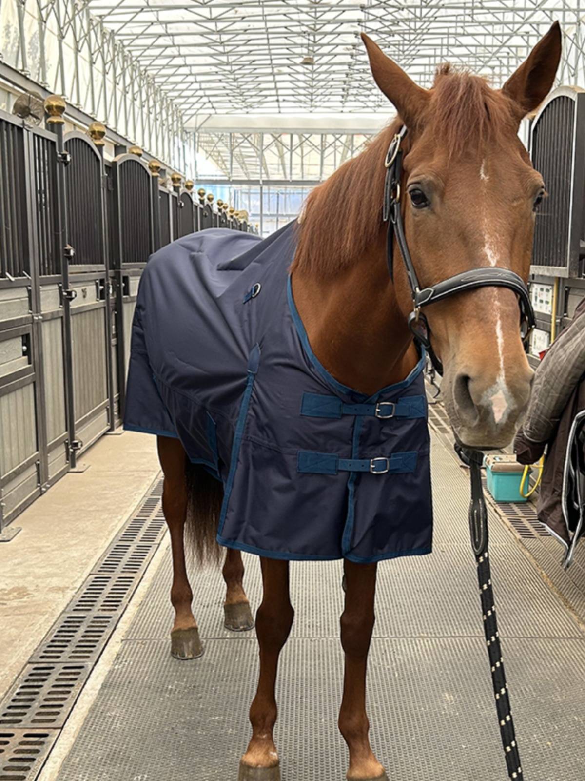 EPONA single -layer waterproof horsepower breathable and comfortable horse uses clothes spring and summer horses horses puppets