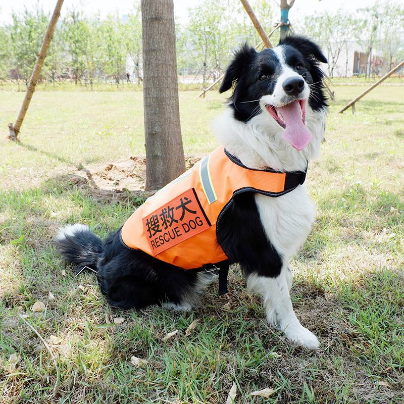 Pet vest German Wrangler Shippeg's duty vest in large dogs and dog clothes fire search and rescue dogs anti -drug