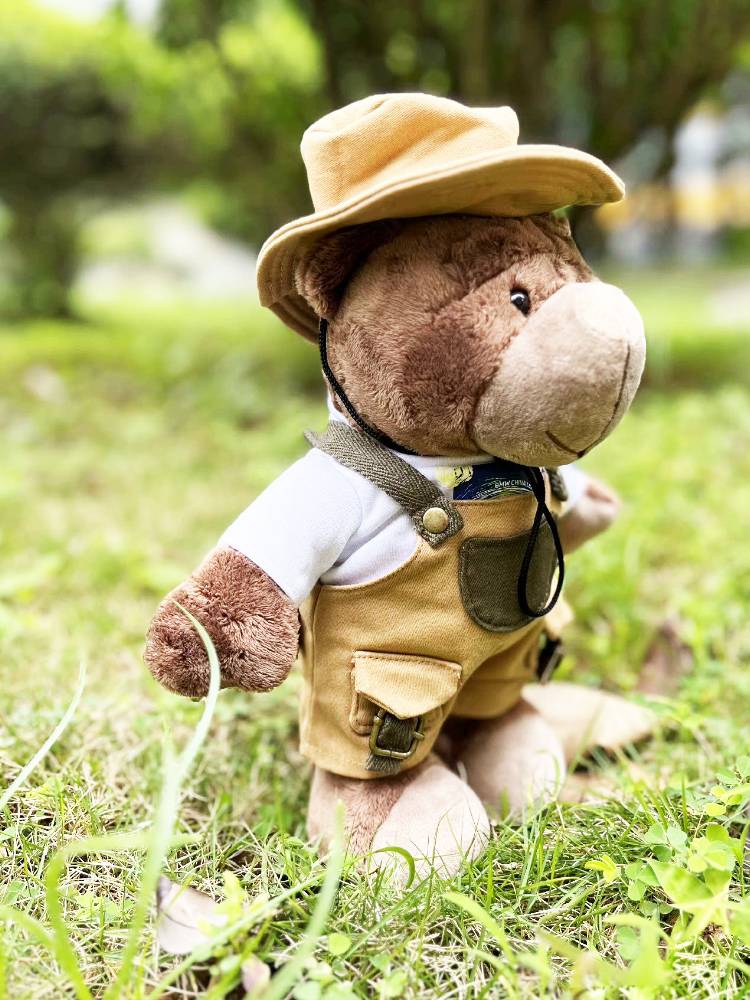 BMW Winnar doll bava camping bear genuine ornament motorcycle tail pendant pendant clothes car doll decoration