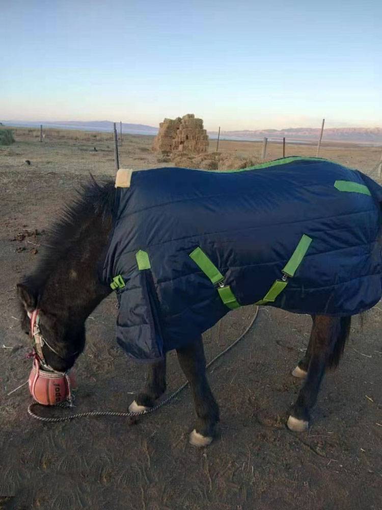 Factory direct selling high -quality horses 420D windproof warm small horse horses horses multi -color optional quality guarantee
