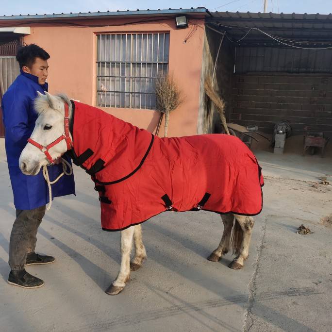 Wearing a horse's suit and a short horse's suit for the winter
