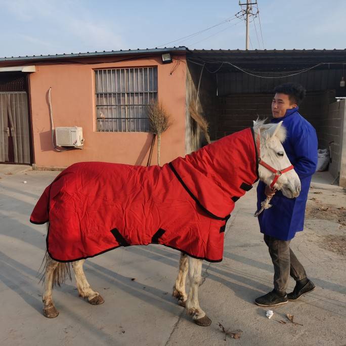 Wearing a horse's suit and a short horse's suit for the winter