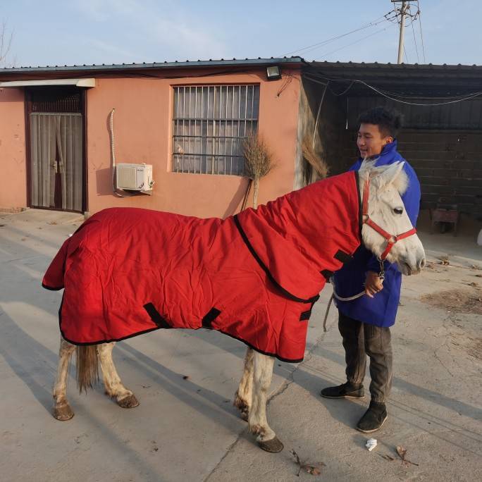 Wearing a horse's suit and a short horse's suit for the winter
