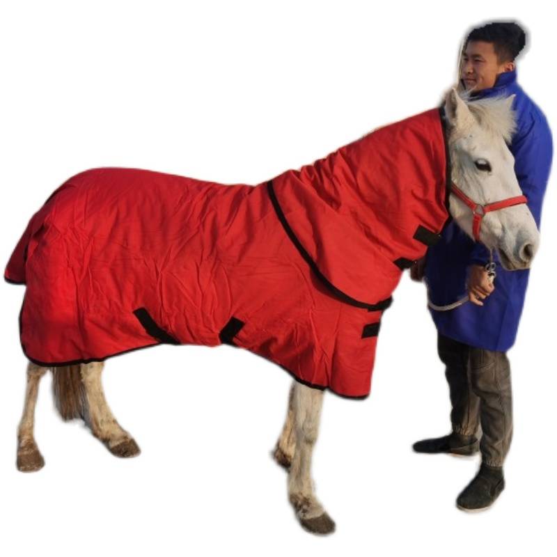 Wearing a horse's suit and a short horse's suit for the winter