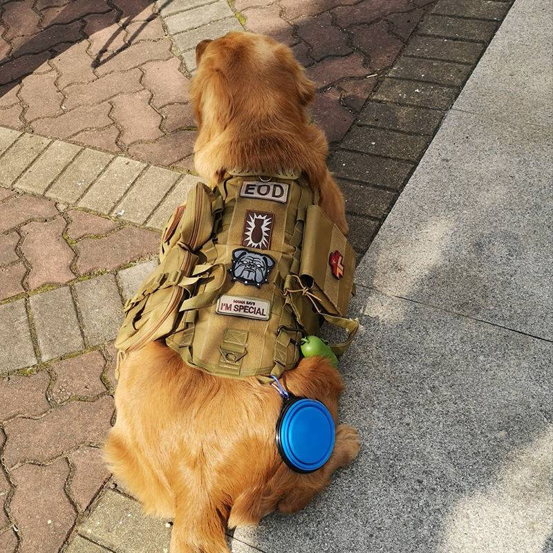 Dog clothes in large dogs in dog tactical vest pets golden retriever golden retriever, shepherd chest straps traction rope vest vest