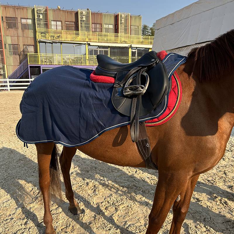 HORSE2ME velvet training horse double brush shit and velvet single -layer horses training supplies