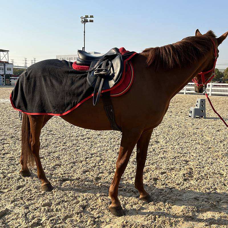 HORSE2ME velvet training horse double brush shit and velvet single -layer horses training supplies
