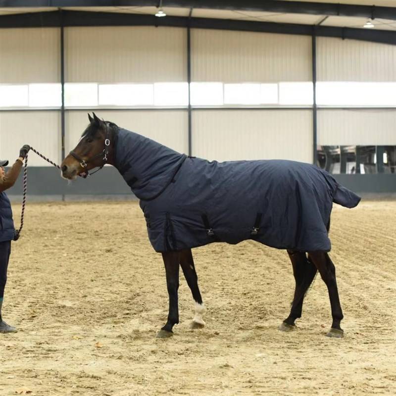 In winter, cotton windproof horses, horseway training equipment anti -cold horse horses, banded bibs sfcles Steel cold and cold horses