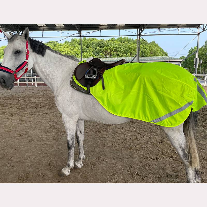 Horse2me fluorescent double -layer training horses training