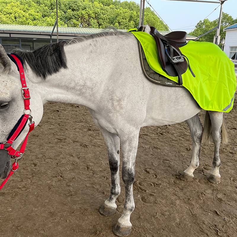 Horse2me fluorescent double -layer training horses training