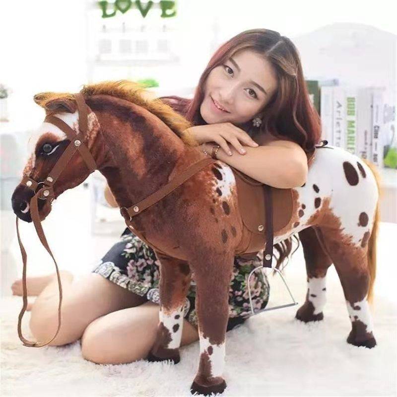 Brown and white horses 75 and 65