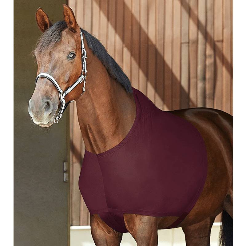 The horse's shoulder, the neck, the horse's vest, the horse's shoulder cushion, the bullet, protection from friction