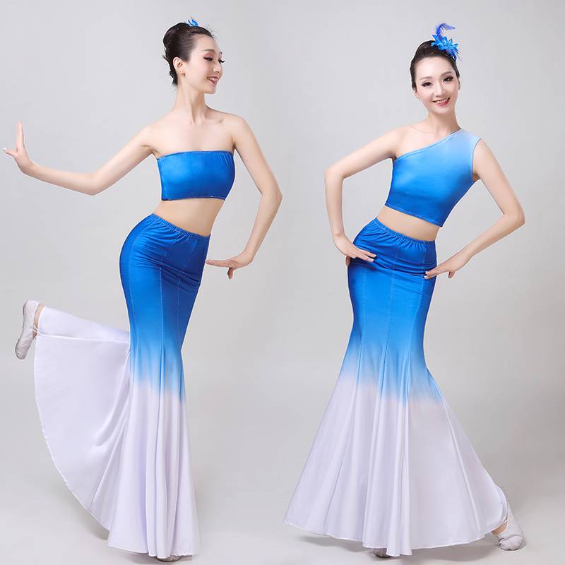 Dai dance clothing female adult stage performance service practice dance skirt long skirt peacock dance art test performance