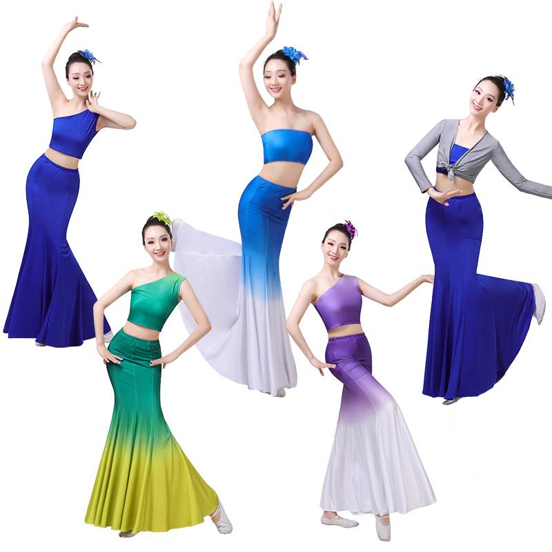 Dai dance clothing female adult stage performance service practice dance skirt long skirt peacock dance art test performance