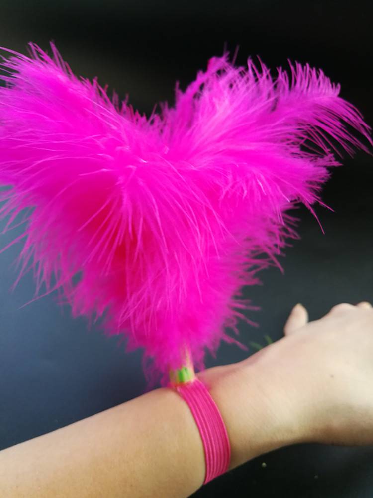 A pair of red feathers with feathers