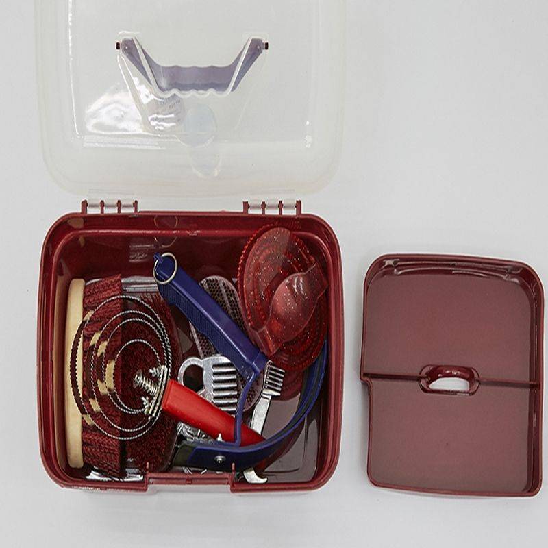 Pony-cleaning kit with a horse-washing kit and a ten-pack horse-brushing kit