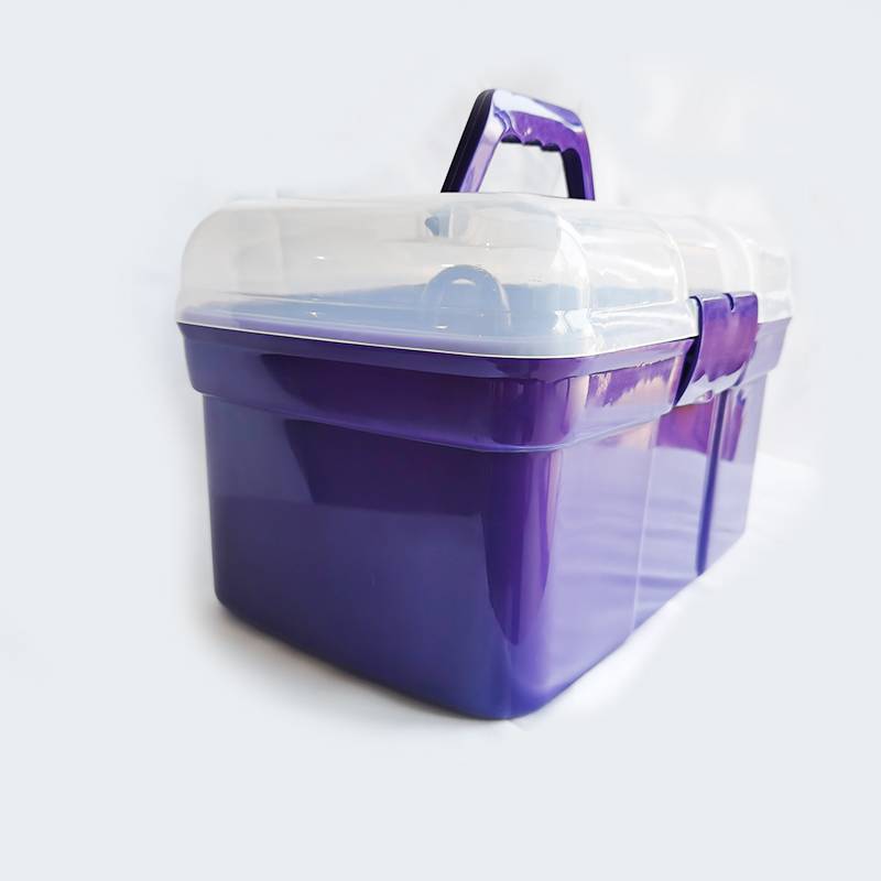 Pony-cleaning kit with a horse-washing kit and a ten-pack horse-brushing kit