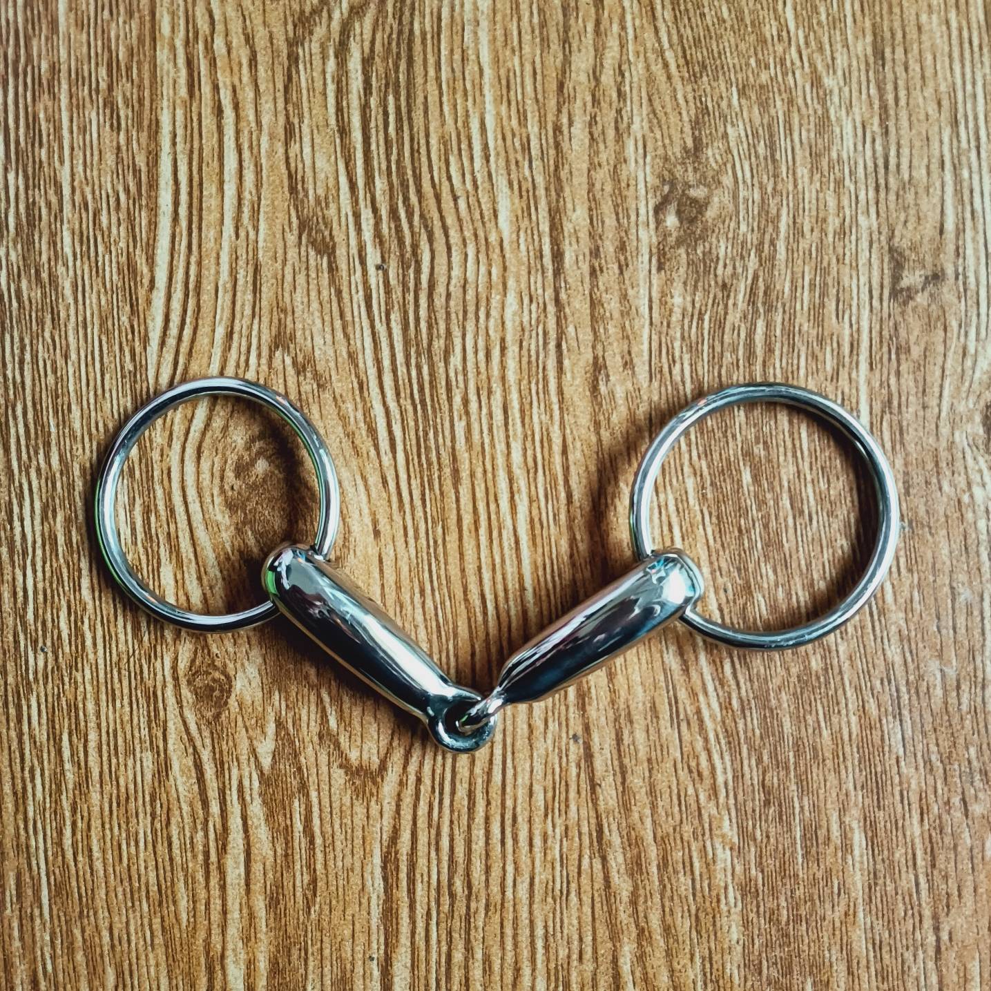 Stainless steel hollow cortex (for horses)