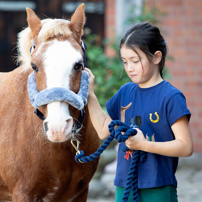 British Shire Equestrian T -shirts Children's Cavaliers Casual Cartoon Caps Male Girls Riding Short Sleeve Top