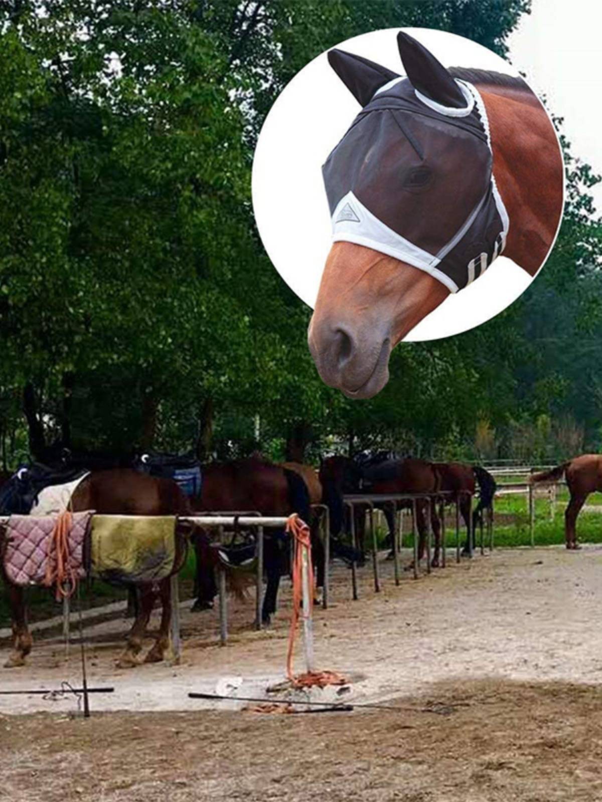 The new anti -mosquito horsethrine face -breathable horse mask horses and horses mask equestrian supplies horse horses