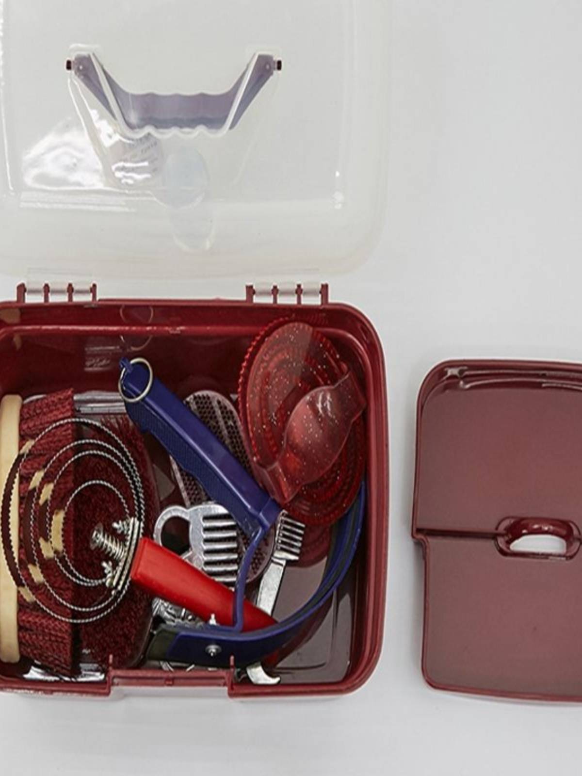 Pony-cleaning kit with a horse-washing kit and a ten-pack horse-brushing kit