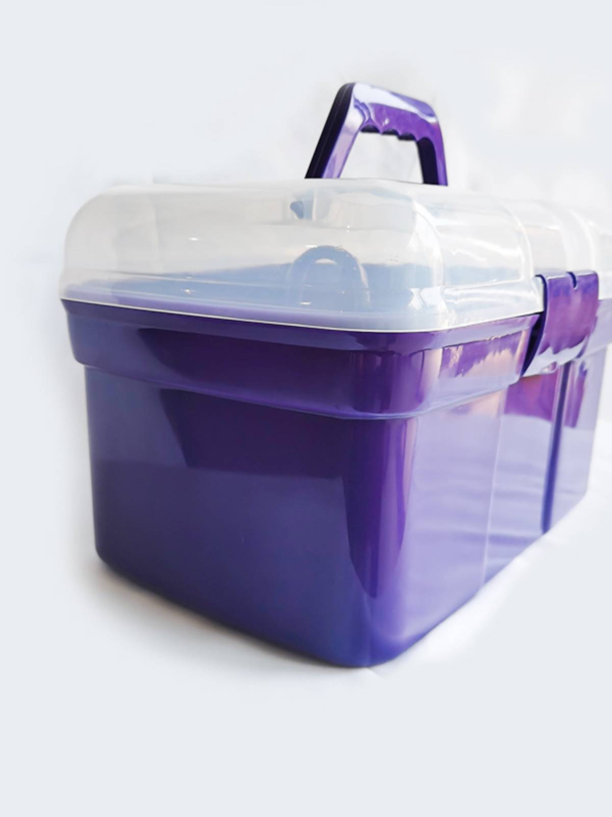 Pony-cleaning kit with a horse-washing kit and a ten-pack horse-brushing kit