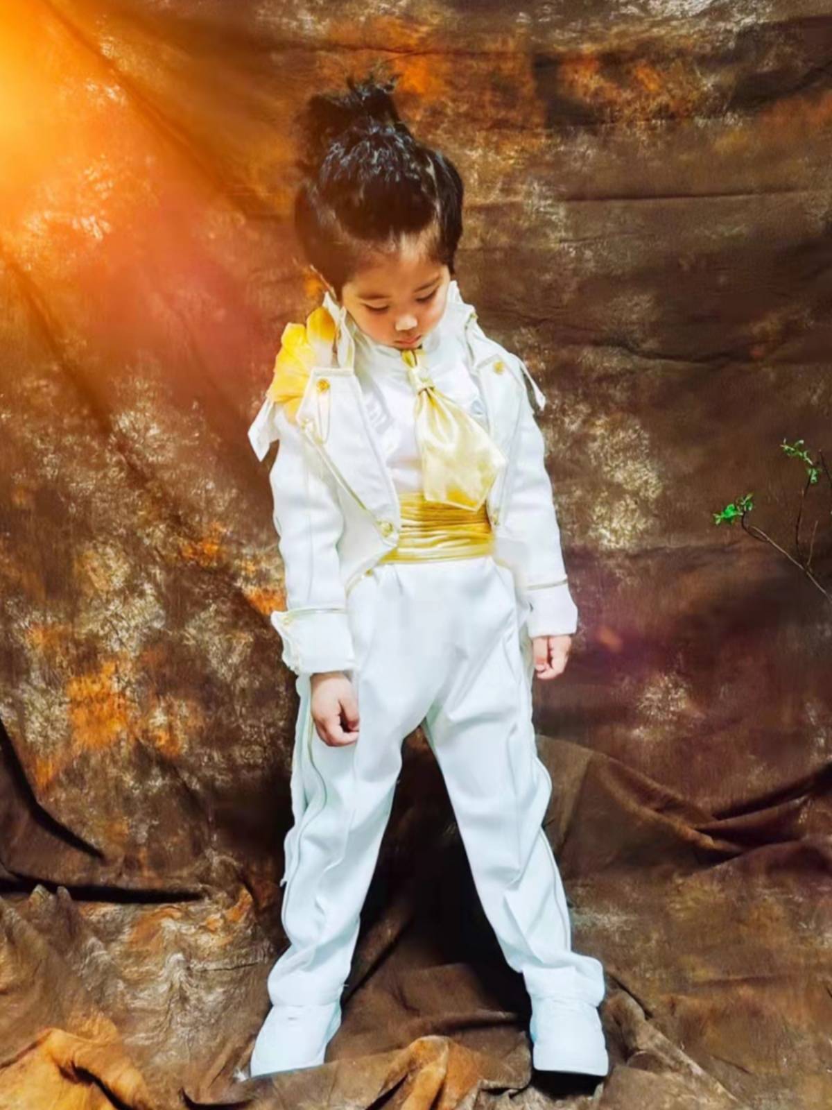 Original White Horse Prince Angel Image Photography Dress suit Swallow Tail Wing Set Platinum Children's Wing Show