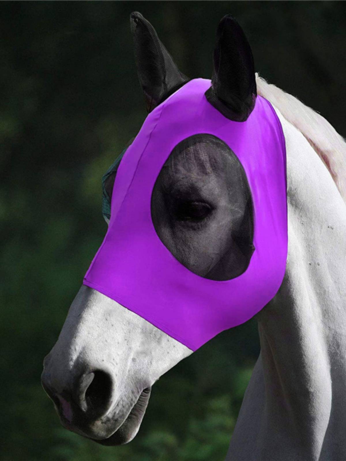 The new anti -mosquito horsethrine face -breathable horse mask horses and horses mask equestrian supplies horse horses