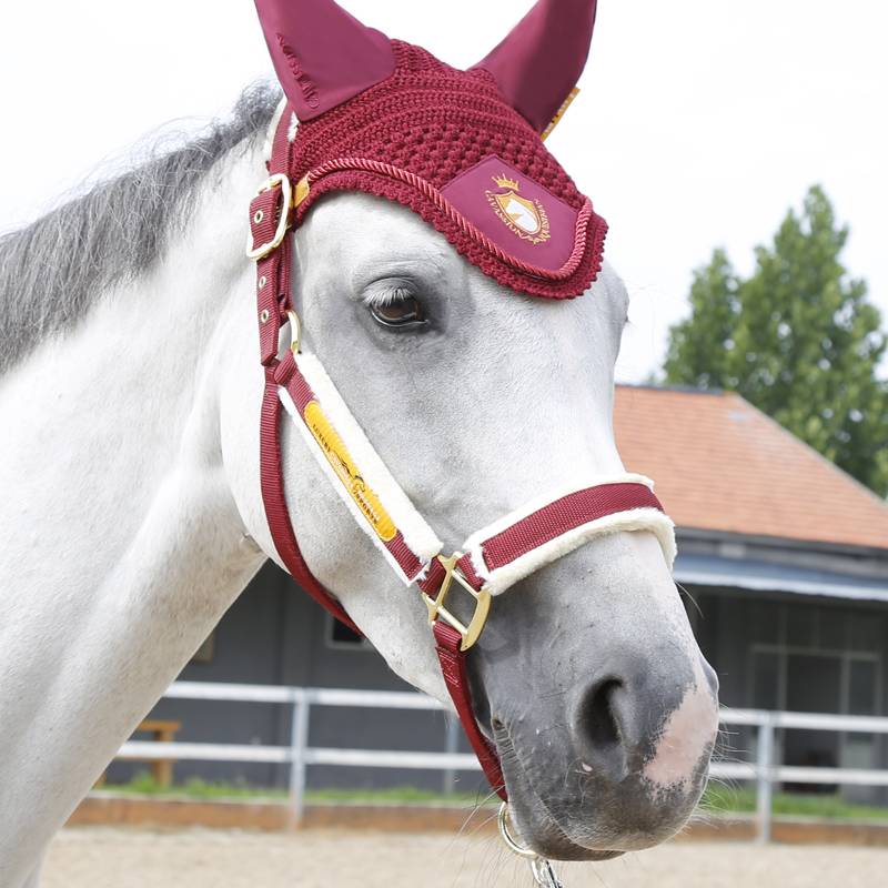 Cavassion-luxury Equestrian set horse cage horses hooded ear hood tie leggings wool pad