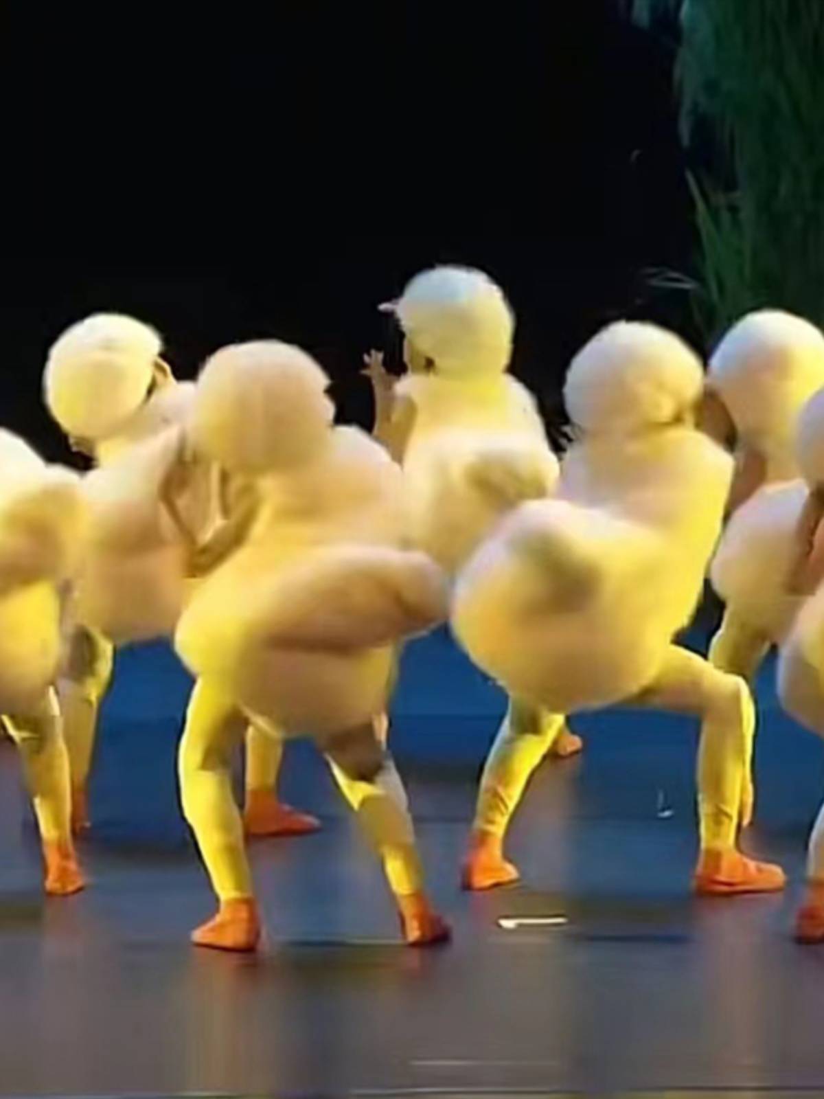 Xiaohe style This is my dance service performance, the kindergarten, the little swan duckling, the male and female girl performance set