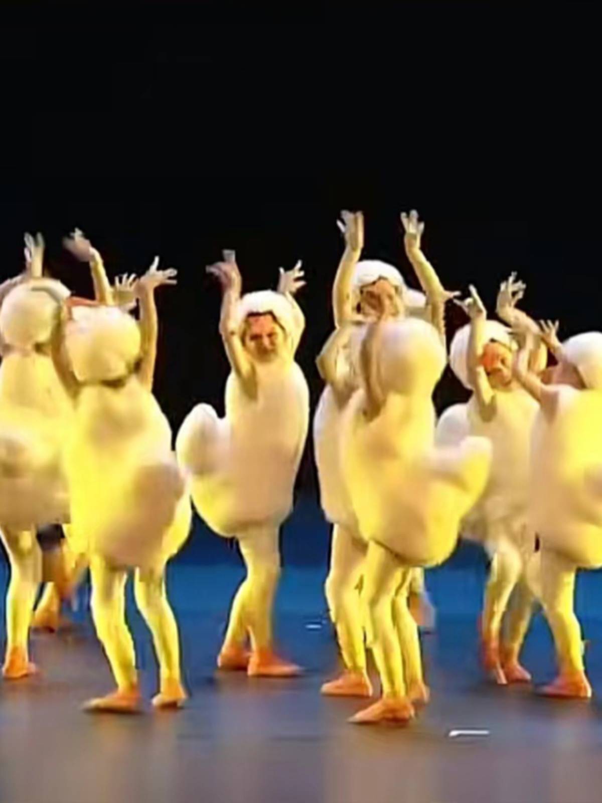 Xiaohe style This is my dance service performance, the kindergarten, the little swan duckling, the male and female girl performance set