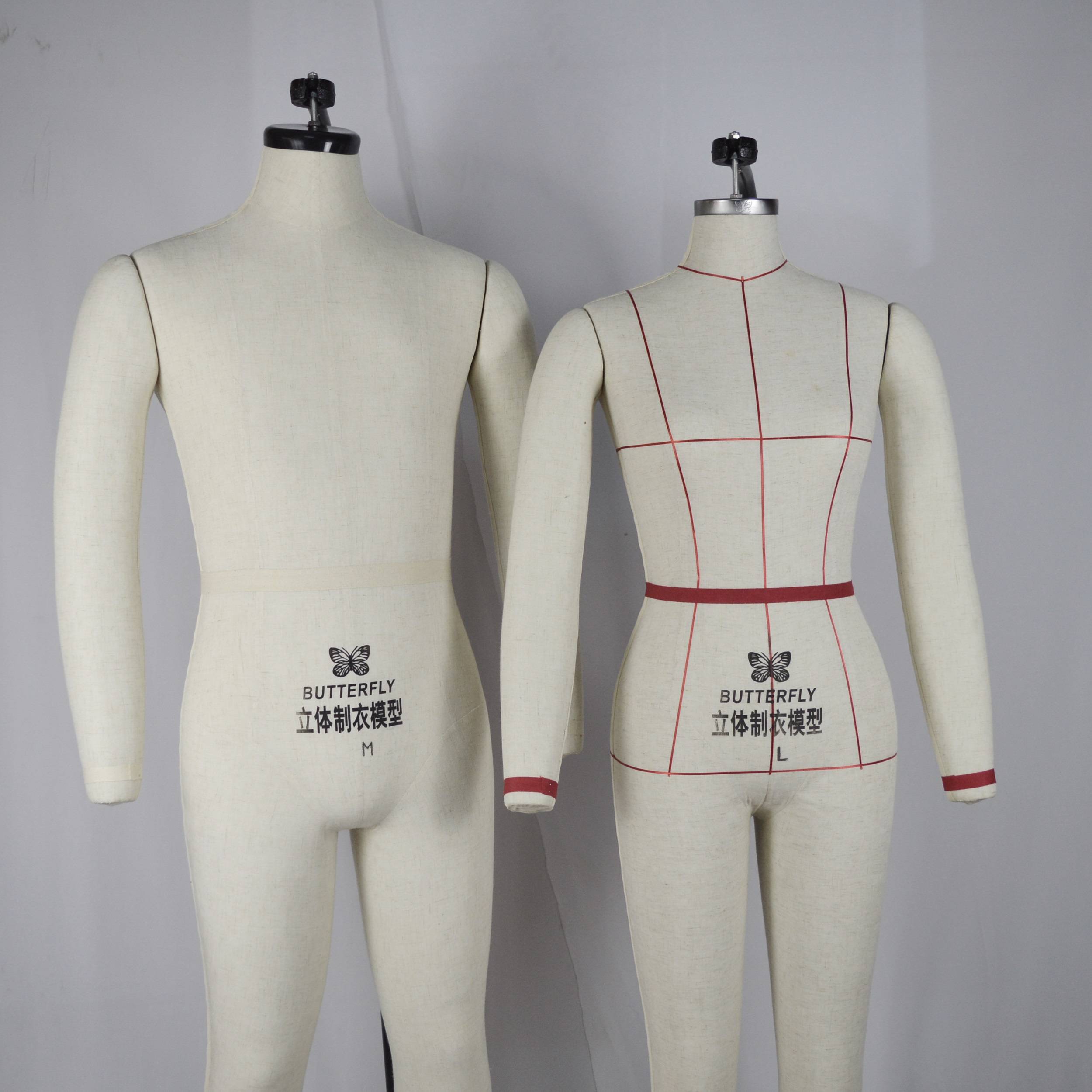Butterfly's Stereotyping Room will fit all-male and female modeling designs
