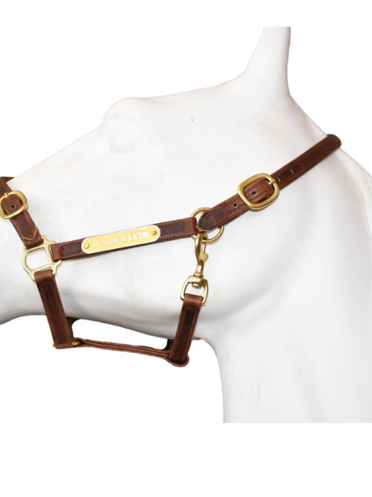 2024 new equestrian cage Silver Royal horse cage leader horses equipment faucet dermis buckle adjustment cage